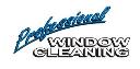 Professional Window Cleaning logo